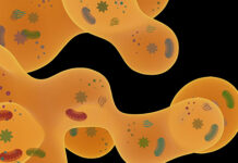 The Biophysical World Inside a Jam-Packed Cell The Biophysical World Inside a Jam-Packed Cell