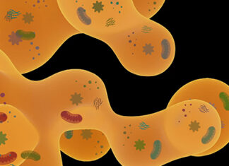 The Biophysical World Inside a Jam-Packed Cell The Biophysical World Inside a Jam-Packed Cell