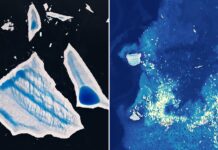 Ailing “Megaberg” Sparks Surge of Microscopic Life Ailing “Megaberg” Sparks Surge of Microscopic Life