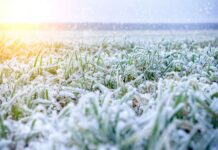 Profitez des dernières heures de douceur : la chute des températures attendue cette semaine va faire perdre jusqu’à 10 °C Profitez des dernières heures de douceur : la chute des températures attendue cette semaine va faire perdre jusqu’à 10 °C