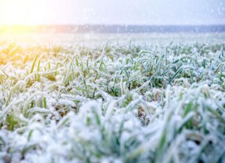 Profitez des dernières heures de douceur : la chute des températures attendue cette semaine va faire perdre jusqu’à 10 °C Profitez des dernières heures de douceur : la chute des températures attendue cette semaine va faire perdre jusqu’à 10 °C