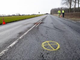 Polisens teori om dödsolyckan i Norra Åsum: Häck skymde sikten