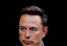 Elon Musk is the owner of 6 companies: Check list Elon Musk is the owner of 6 companies: Check list