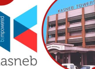 KASNEB contacts, phone number and locations of the offices KASNEB contacts, phone number and locations of the offices