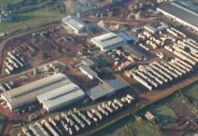 Gigante de la madera en crisis: los empleados cobran el 60% del sueldo y endurecen protestas Gigante de la madera en crisis: los empleados cobran el 60% del sueldo y endurecen protestas