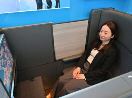 ソファのような個室新ビジネス「THE Room FX」は777並みの広さ　写真特集・ANA 787-9新シート（1）