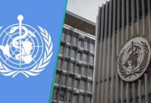 World Health Organisation announces new health vacancy, how to apply and link emerge World Health Organisation announces new health vacancy, how to apply and link emerge