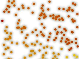 Светлячки, или природный клеточный автомат Светлячки, или природный клеточный автомат