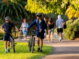 Parks are sanctuaries but can also harbour disease – here’s how to protect yourself