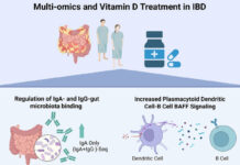 Vitamin D Shows Promise in Resetting Immune System in Inflammatory Bowel Disease Vitamin D Shows Promise in Resetting Immune System in Inflammatory Bowel Disease
