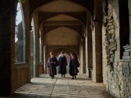I Didn’t Want a Harry Potter Reboot, but the New Trailer Has Me Under Its Spell