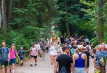 Il les appelle les « tourons » : les images de sa randonnée à Sequoia font le tour d’internet et choquent des milliers de personnes Il les appelle les « tourons » : les images de sa randonnée à Sequoia font le tour d’internet et choquent des milliers de personnes