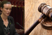 NSW Greens Accuse Minns Government of “Procedural Trickery” Over Sackar Review NSW Greens Accuse Minns Government of “Procedural Trickery” Over Sackar Review