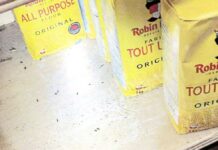 Infestation de souris et de coquerelles au commerce de Montréal Yaser Fruits Infestation de souris et de coquerelles au commerce de Montréal Yaser Fruits